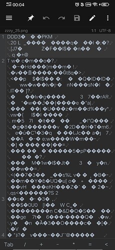 Screenshot_20250731_000432